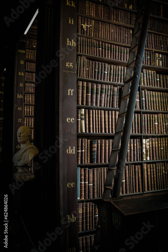 ancient books in the trinity college library in dublin