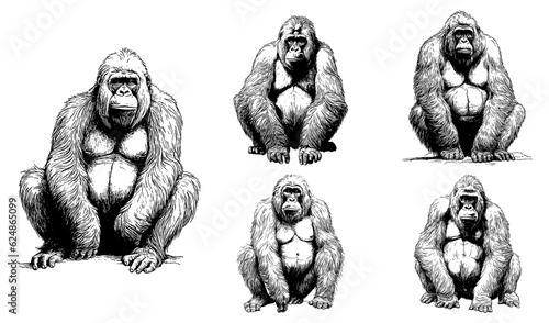 set of line art of an big great ape.