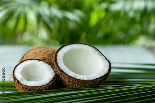 Fresh Coconut pieces on a palm leaf with copy space