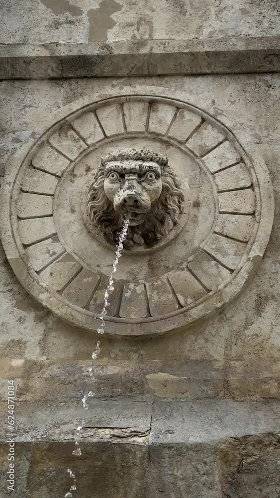 A close-up of an ancient fountain with a jet of water flowing from its mouth. Medieval sculpture of animal heads with open mouth. High quality 4k footage A close-up of an ancient fountain with a jet of water flowing from its mouth. Medieval sculpture of animal heads with open mouth. High quality 4k footage