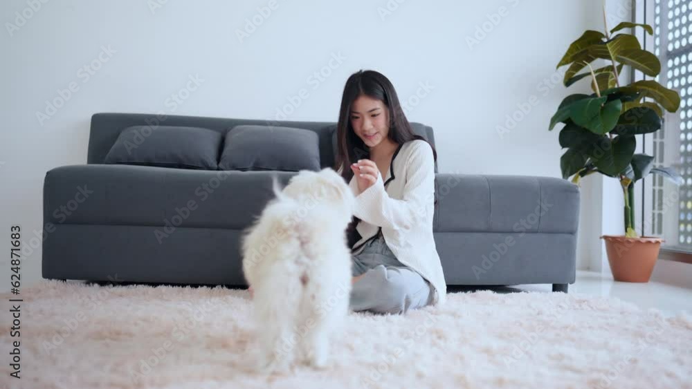 Loving moments: An Asian woman finds relaxation and playful joy as she spends quality time with her furry companion in the cozy confines of their bedroom. A delightful illustration of the bond between Loving moments: An Asian woman finds relaxation and playful joy as she spends quality time with her furry companion in the cozy confines of their bedroom. A delightful illustration of the bond between