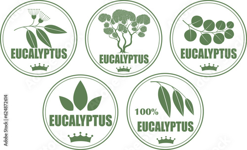 Eucalyptus logo. Isolated eucalyptus on white background