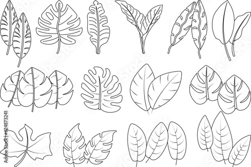 Tropical Leaves Outline Bundle,Clip Art