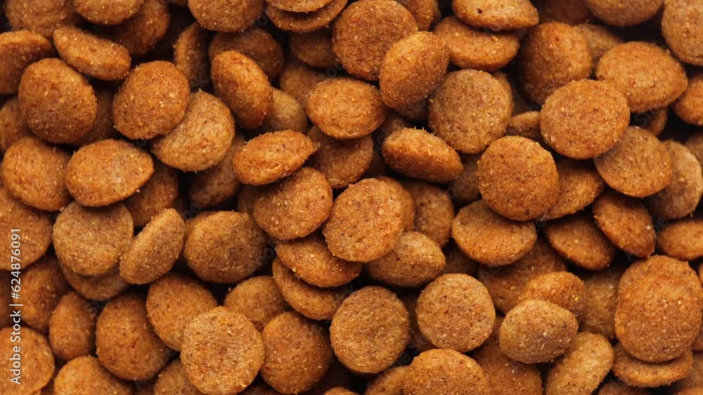 dry dog and cat food, rotation in circle. Pet food Turning. selective focus. Nutrition for pets dry dog and cat food, rotation in circle. Pet food Turning. selective focus. Nutrition for pets