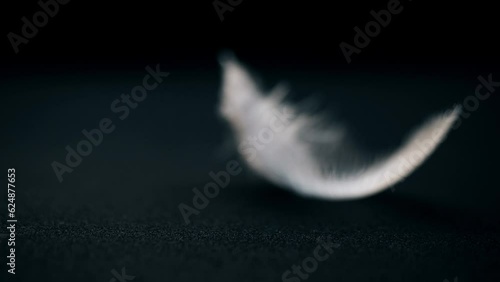 Feather of bird moves from the air flow on background. Super slow motion video concept in extreme macro details. Background for music video or as illustration of life path. Place for text. Copy space