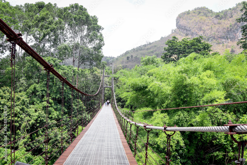 Fototapeta premium Beautiful suspension bridge into green tree wood forest, hanging bridge on mountain.