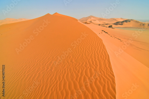 Panorama of the Algerian Sahara with dunes and 