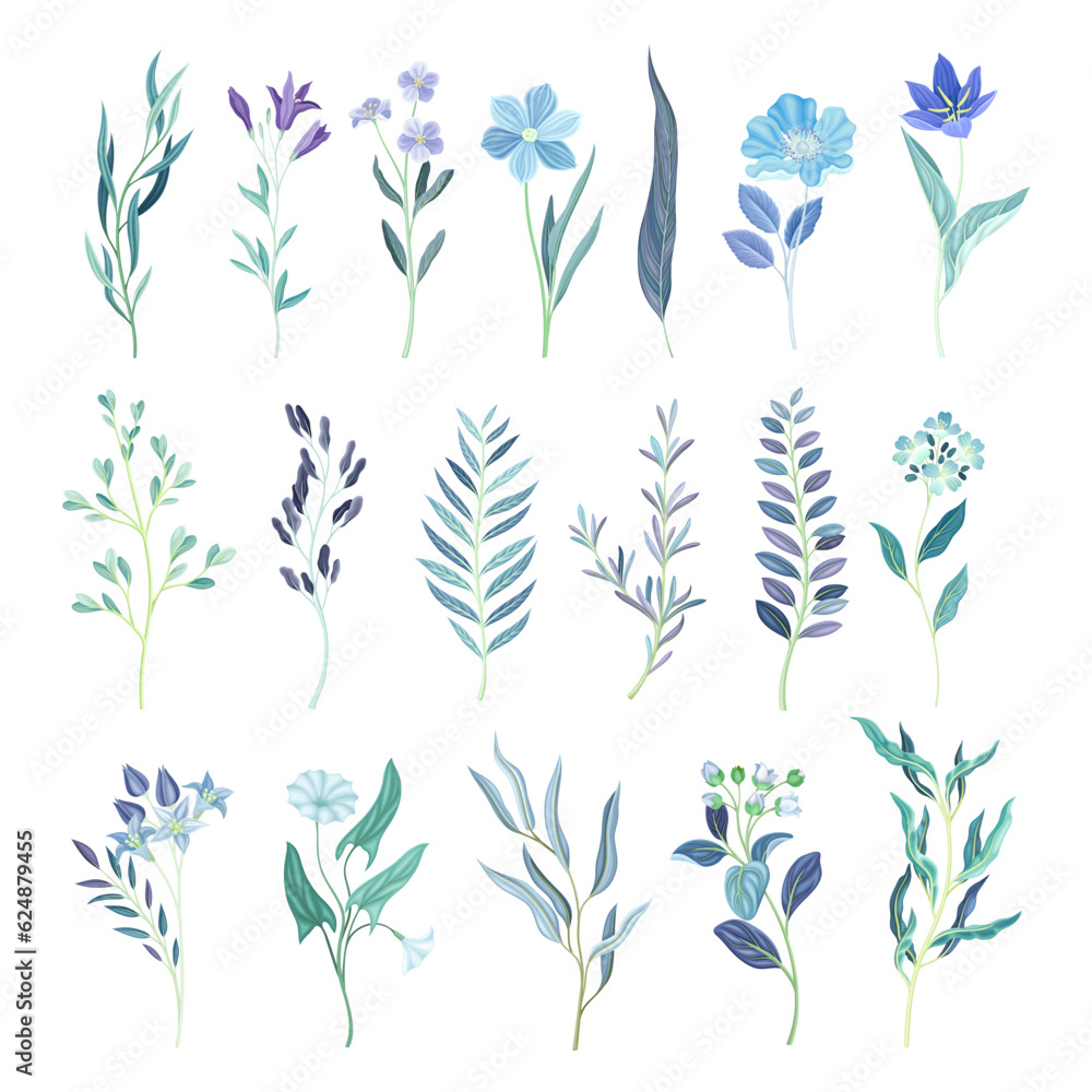 Blue Flower or Delicate Blossom on Leafy Stem Big Vector Set