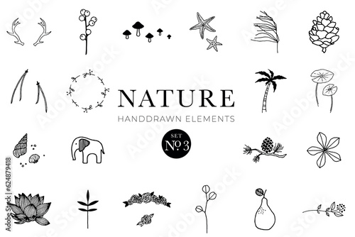 Handdrawn nature elements, Doodle illustrations, Natural drawings