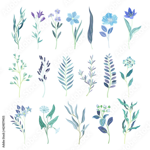 Blue Flower or Delicate Blossom on Leafy Stem Big Vector Set