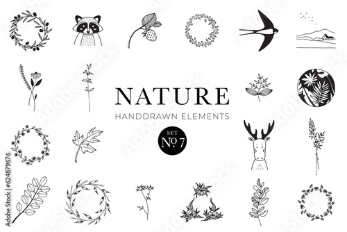 Handdrawn nature elements  Doodle illustrations  Natural drawings
