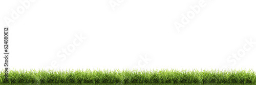 green grass on a transparent background for decorating the project Publications and websites