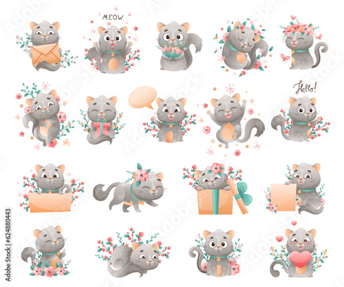 Cute Grey Cat with Flowers Big Vector Set
