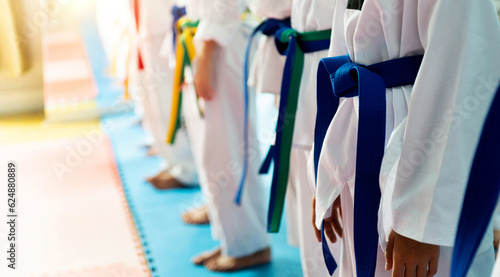 Martial arts athletes  in martial arts training exercising taekwondo photo