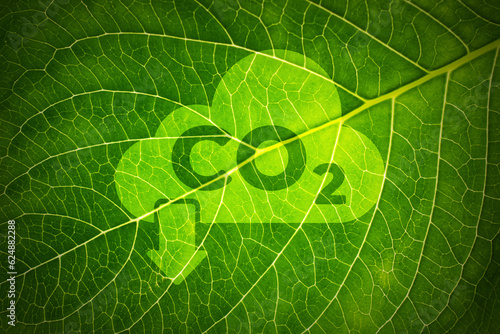 CO2 and Climate change concept on a leaf