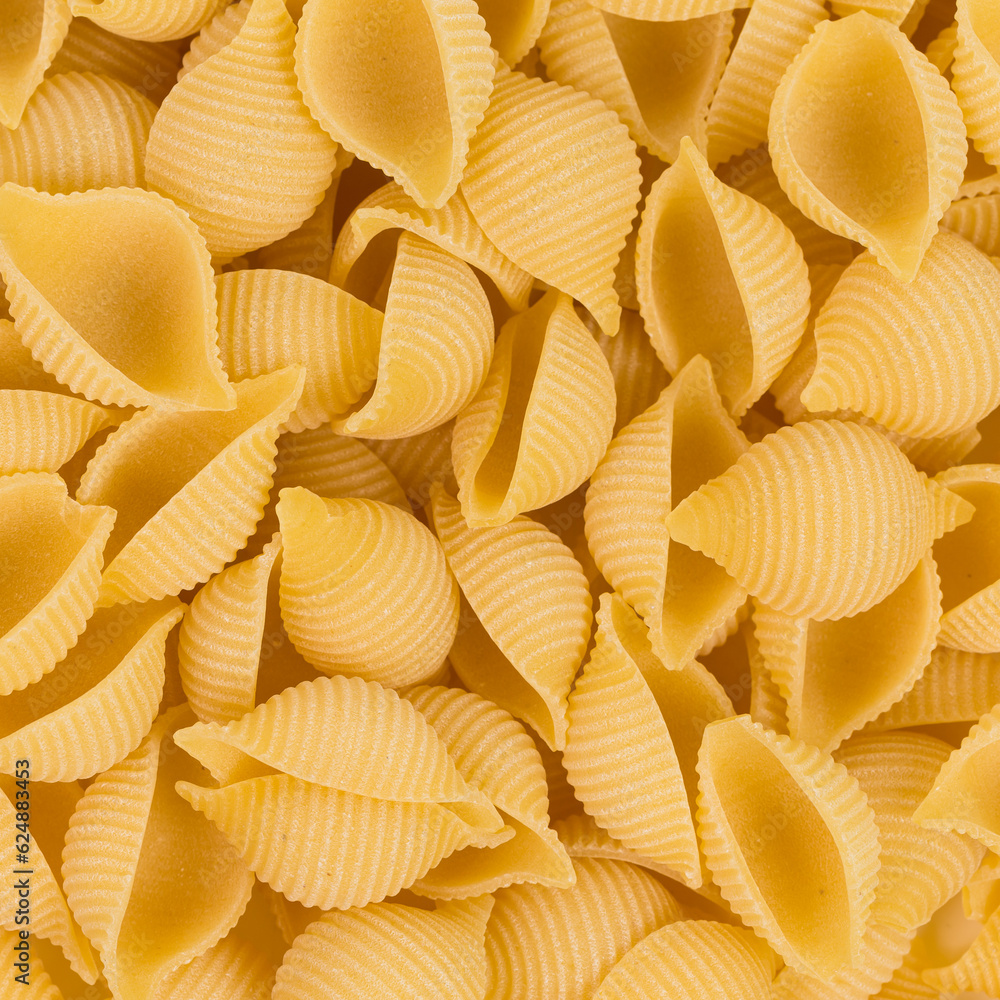 conchiglie pasta shell conchiglie pasta shell