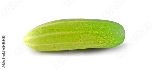 Fresh cucumber isolated on white background. Green cucumbers in your daily diet. Concept of vegetarian and organic food.