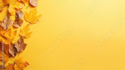 Dry yellow foliage border on banner with space for text.