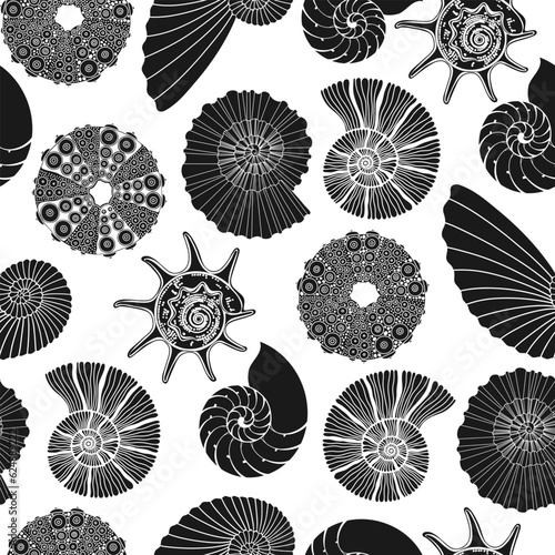 Seamless vector pattern with  seashells. Nature art background. Black silhouettes on white.  Perfect for wallpaper, wrapping, fabric and textile.