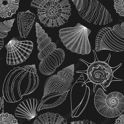 Seamless vector pattern with  seashells. Nature art background. White outline elements on black. Perfect for wallpaper, wrapping, fabric and textile.