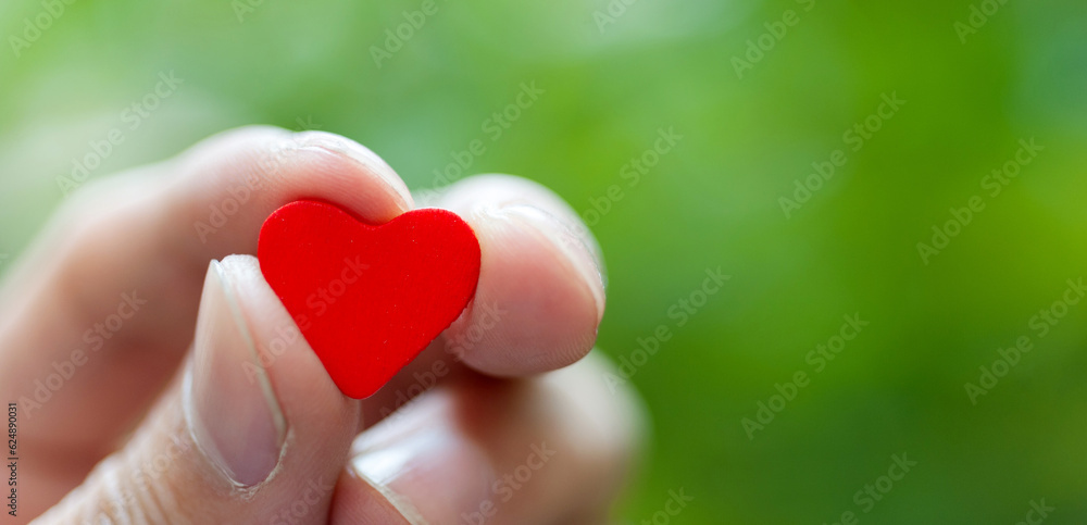 Hand holding a red heart Hand holding a red heart