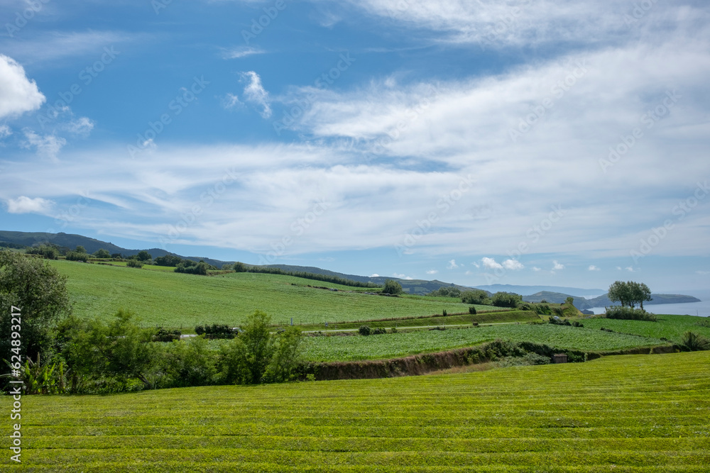 Rural landscape with green fields and blue sky with white clouds. Sao Miguel island in the Azores