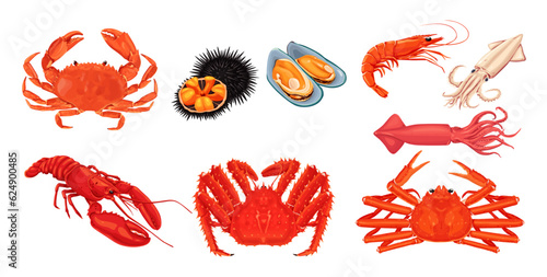 seafood on a white background.Vector eps 10 photo