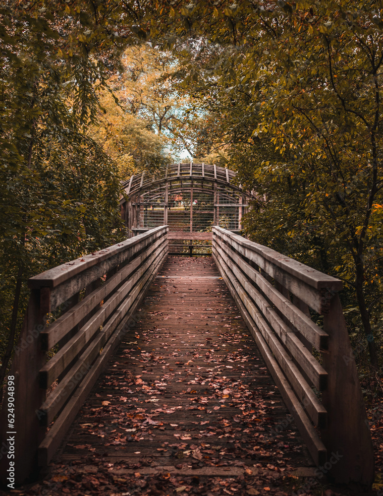 wooden bridge in autumn