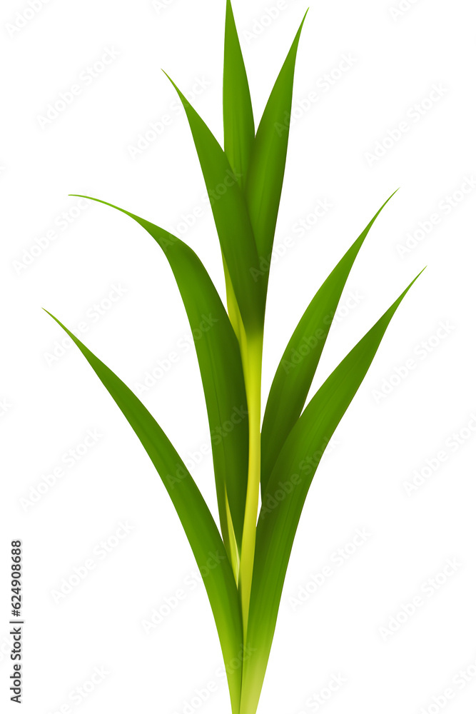bamboo leaves isolated on white, generative ai bamboo leaves isolated on white, generative ai