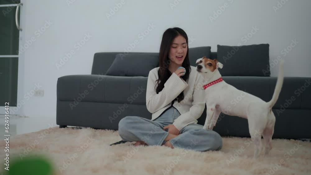 An Asian girl cherishes her free time at home, delighting in her favorite TV shows with her beloved pet by her side. An Asian girl cherishes her free time at home, delighting in her favorite TV shows with her beloved pet by her side.