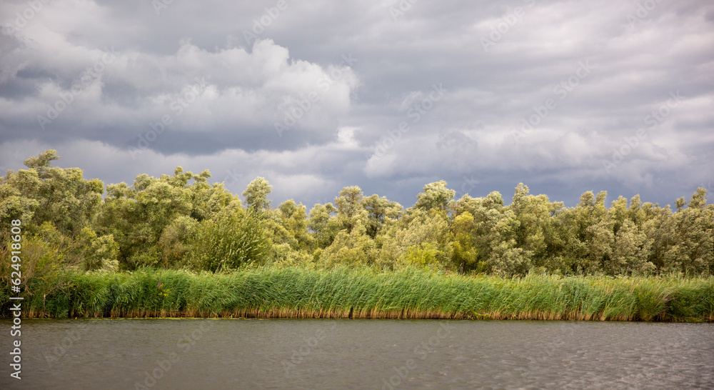 Dark clouds above a nature reserve. Beautiful colors due to the weather. Dark clouds above a nature reserve. Beautiful colors due to the weather.