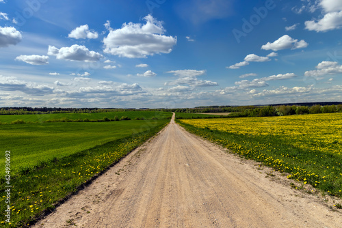unpaved road in rural areas in spring, unpaved road