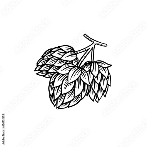 Barley hops and malt. Beer of oktoberfest. engraved in ink hand drawn in old sketch and vintage style for web or pub menu. design element isolated on white background.