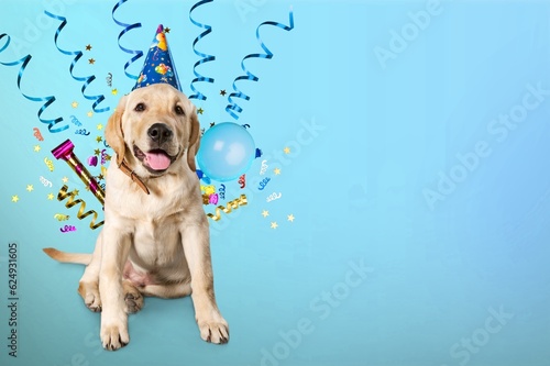 Canvas Print Cute happy young smart dog celebrating at party,