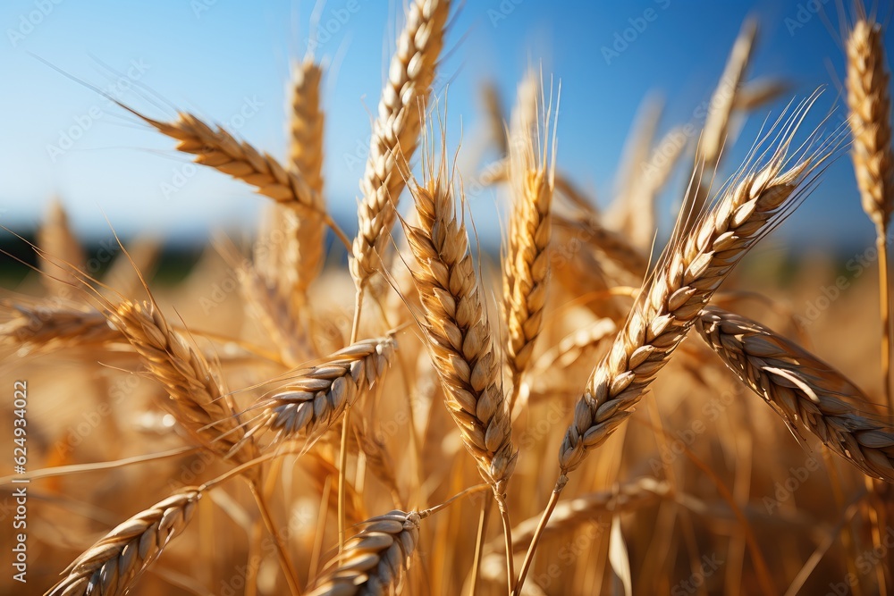Gold wheat field and blue sky. Generative AI Gold wheat field and blue sky. Generative AI
