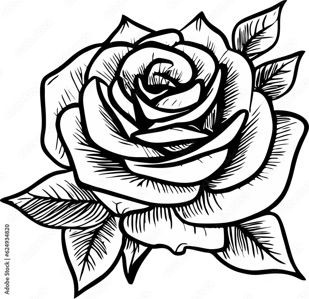Rose in vector format. each petal and each leaf separately Rose in vector format. each petal and each leaf separately