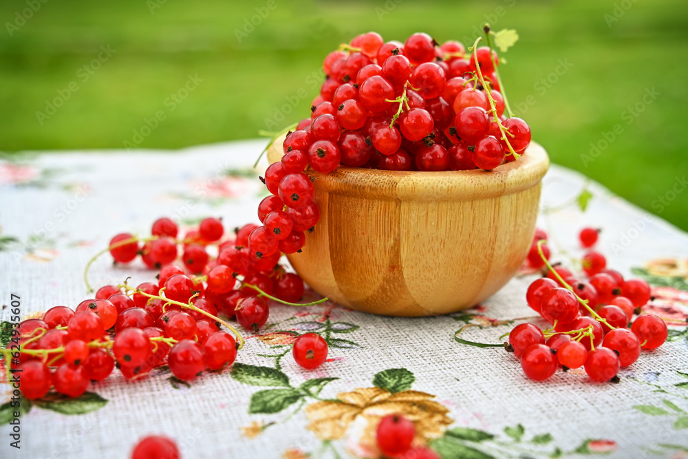 Banner with Red currant berries grow on Bush in sunny garden. Banner with Red currant berries grow on Bush in sunny garden.