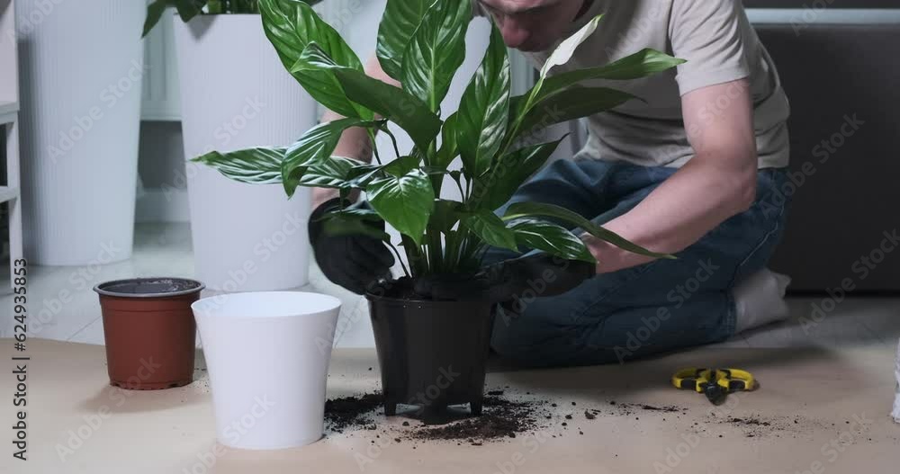 Caucasian man as he adds soil to a flower pot containing a beautiful plant. With a gentle yet confident hand, he carefully scoops the nutrient-rich soil and adds it to the pot. Caucasian man as he adds soil to a flower pot containing a beautiful plant. With a gentle yet confident hand, he carefully scoops the nutrient-rich soil and adds it to the pot.
