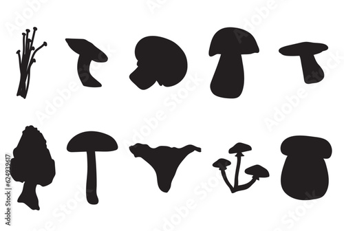 A set of various mushrooms silhouettes in black on white background for icons  webs  apps