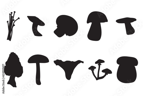 A set of various mushrooms silhouettes in black on white background for icons, webs, apps