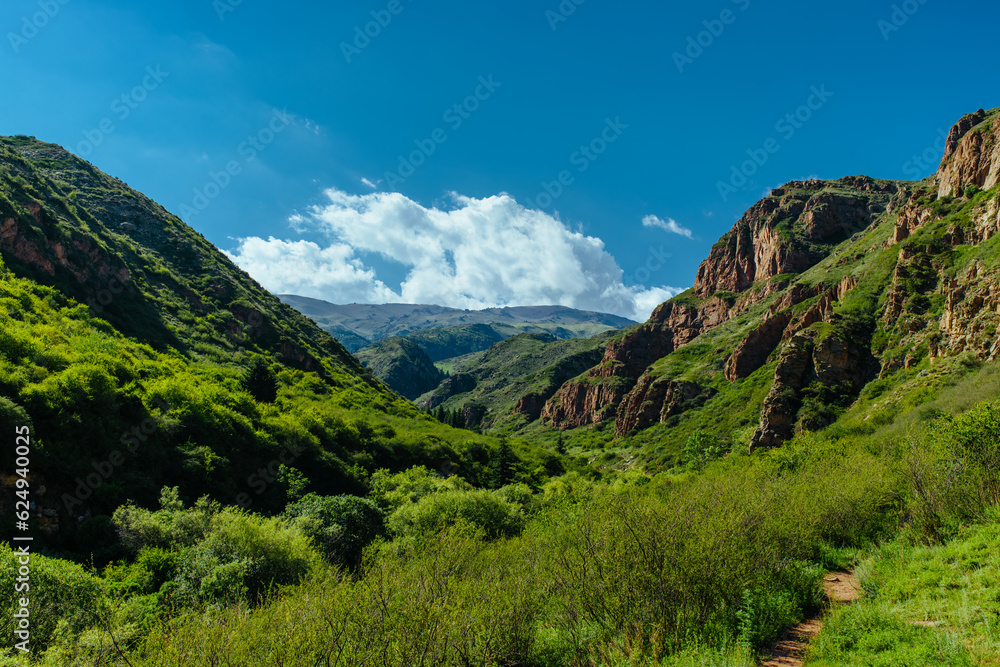 View of green picturesque mountain canyon in summer