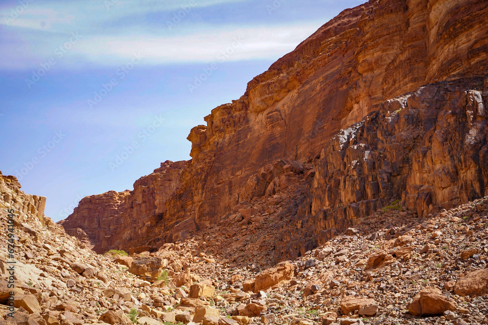 Fototapeta premium Jordan Petra