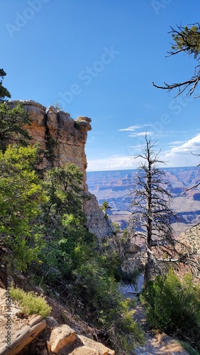 Timeless Cliffside Guardian