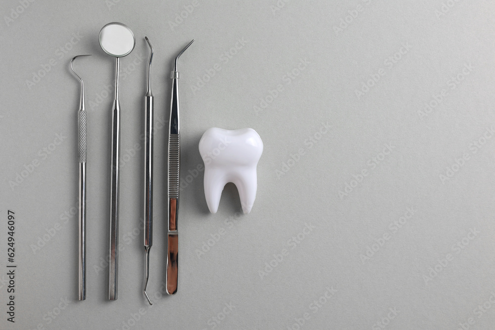 Dentistry concept. Model of a tooth and dental instruments on a light background with space for text. Dentistry concept. Model of a tooth and dental instruments on a light background with space for text.