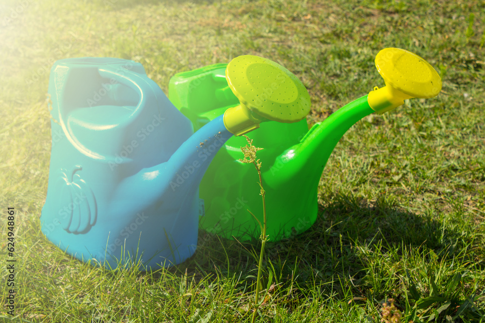Two watering cans - green and blue on bright juicy grass on a sunny summer day . Concept gardening and plant care Two watering cans - green and blue on bright juicy grass on a sunny summer day . Concept gardening and plant care