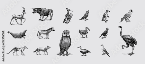 Extinct species. Wild mammal animals and birds. Dodo, Moa, Tasmanian wolf, Quagga. Aurochs. Blue antelope. Hand drawn vector engraved sketch. Graphic vintage style. 