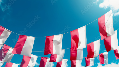 Flag of Poland against the sky, flags hanging vertically © Lulla