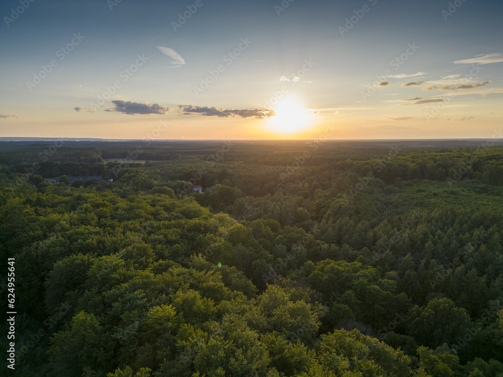 Aerial View of Sunset over Forest