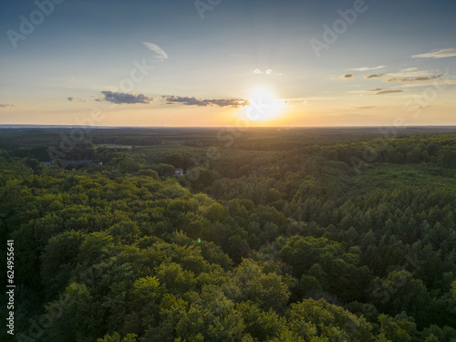 Aerial View of Sunset over Forest