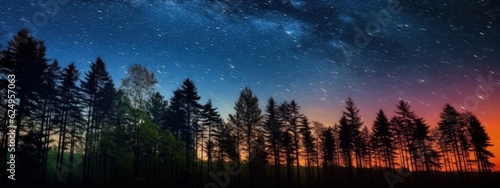 Slow-motion night sky with shooting stars over the forest. Night landscape. Generative AI ©  AKA-RA